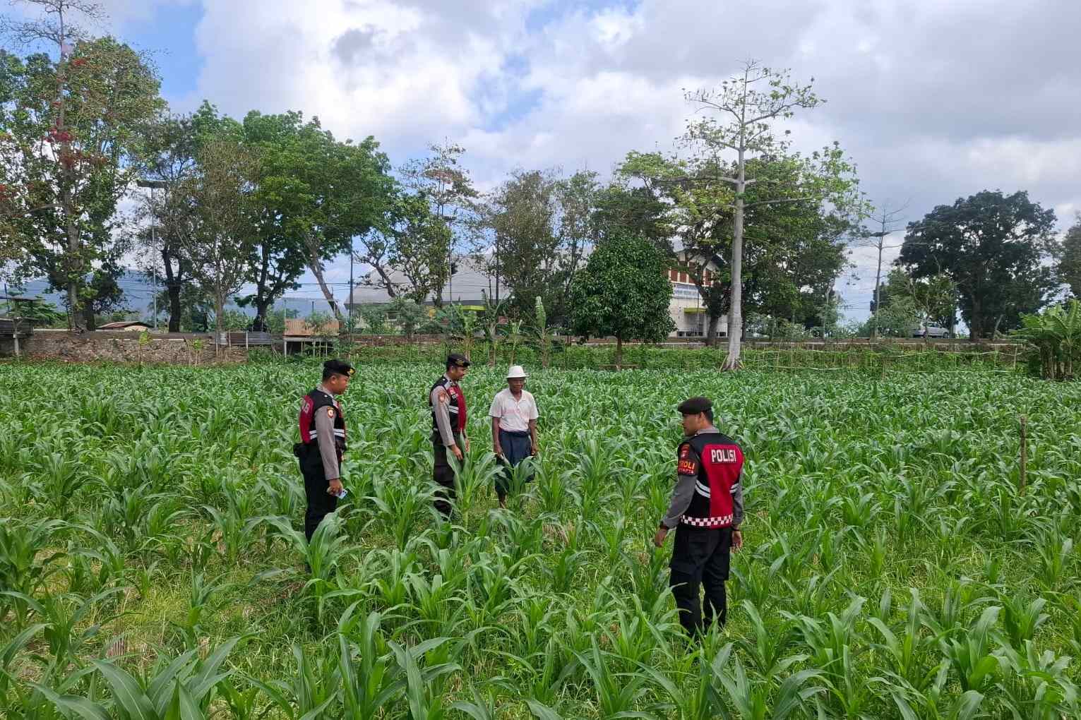 Polres Lombok Barat Dampingi Petani Gerung Utara, Dukung Swasembada Pangan
