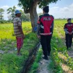 Polres Lombok Barat Pantau Lahan Jagung di Desa Tempos untuk Dukung Swasembada Pangan