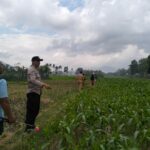 Polsek Kediri Bersama Bhabinkamtibmas dan PPL Pertanian Tingkatkan Ketahanan Pang