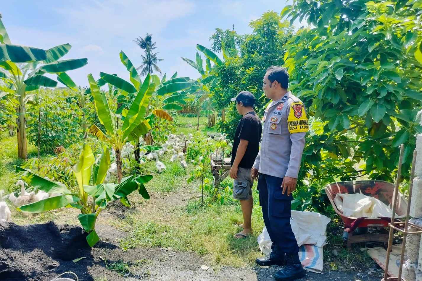 Polsek Lembar Dukung Ketahanan Pangan, Bhabinkamtibmas Beri Semangat Petani Jagung di Eyat Mayang