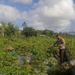 Sinergi Polri dan Warga Dusun Pelulan Wujudkan Ketahanan Pangan Keluarga (1) Sinergi Polri dan Warga Dusun Pelulan Wujudkan Ketahanan Pangan Keluarga