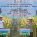 WhatsApp Image 2025-08-06 at 20.12.55