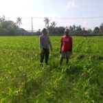 WhatsApp Image 2025-08-07 at 09.19.13