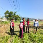 WhatsApp Image 2025-08-08 at 10.54.54 Polri Hadir Bantu Petani Jagung Wujudkan Swasembada di Lombok Barat