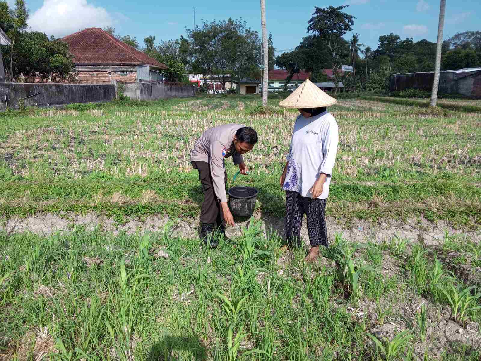 Polsek Kuripan Galakkan Pertanian Pekarangan Demi Kesejahteraan Warga