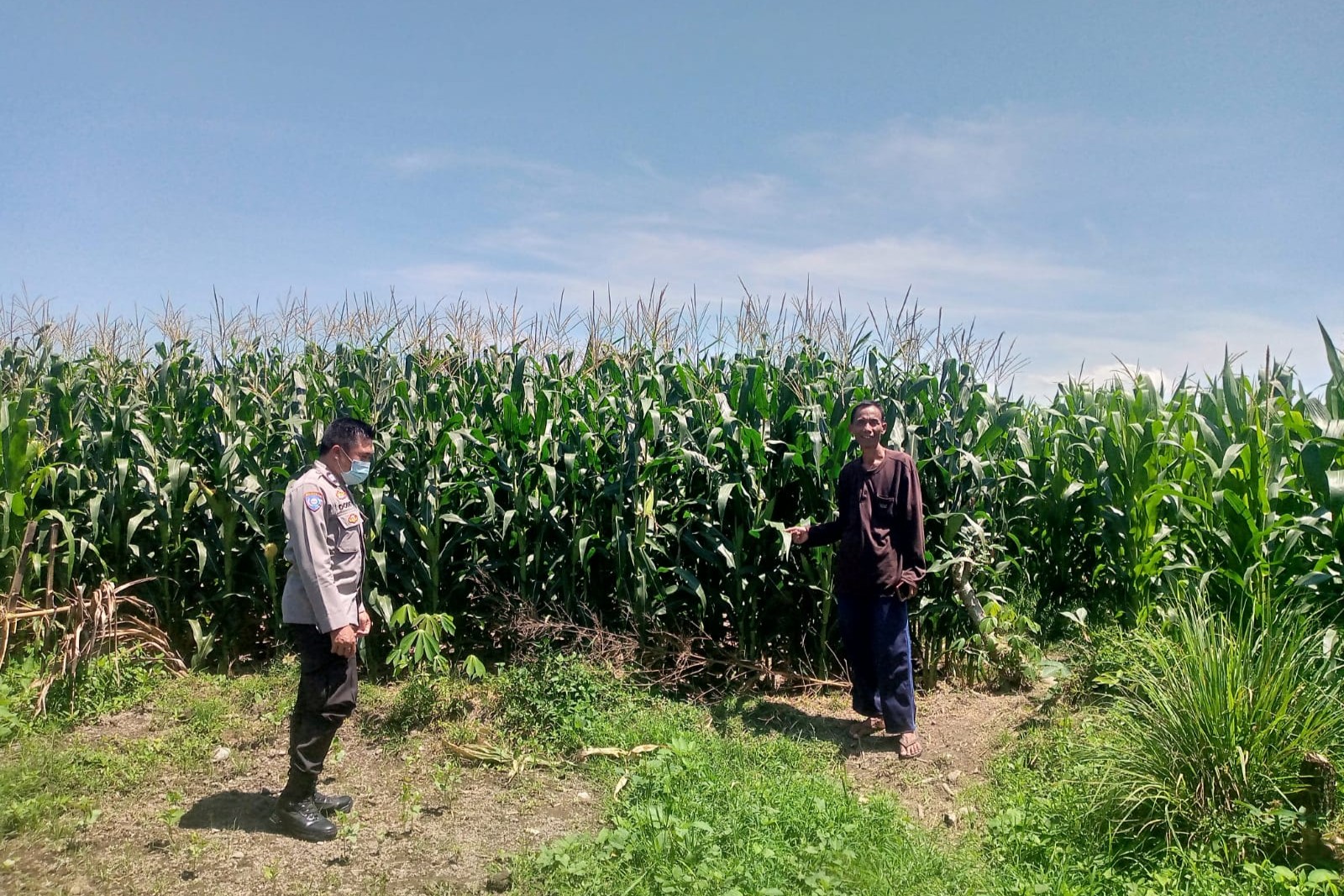 Polsek Kuripan Dorong Ketahanan Pangan Desa Jagaraga Lombok Barat