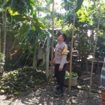 Polsek Kuripan Gandeng Warga Dusun Beremi Tingkatkan Kemandirian Pangan (1) Polsek Kuripan Gandeng Warga Dusun Beremi Tingkatkan Kemandirian Pangan