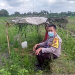 Sinergi Polri dan Petani di Dusun Tambang Eleh, Lombok Barat Wujudkan Desa Mandiri Pangan (4) Sinergi Polri dan Petani di Dusun Tambang Eleh, Lombok Barat Wujudkan Desa Mandiri Pangan