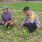 Sinergi Polri dan Warga Kuranji Dorong Desa Mandiri Pangan (3) Sinergi Polri dan Warga Kuranji Dorong Desa Mandiri Pangan