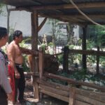 Warga Dusun Melase Antusias Sambut Program Pertanian Pekarangan yang Digagas Polsek Batulayar (3) Warga Dusun Melase Antusias Sambut Program Pertanian Pekarangan yang Digagas Polsek Batulayar