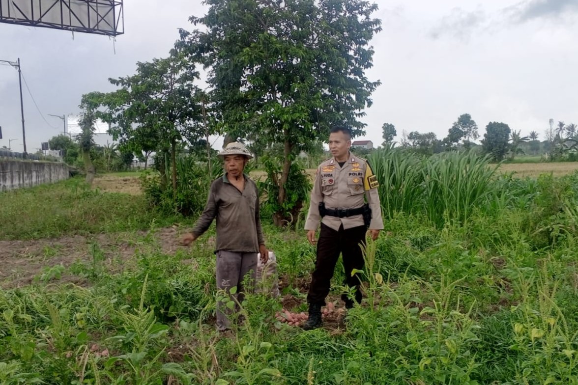 Bhabinkamtibmas Terong Tawah Dorong Pemanfaatan Pekarangan untuk Ketahanan Pangan