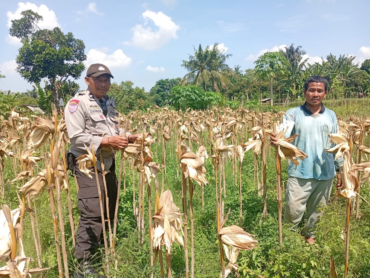 Situasi Desa Merembu Kondusif, Polisi Ajak Warga Fokus pada Kemandirian Pangan