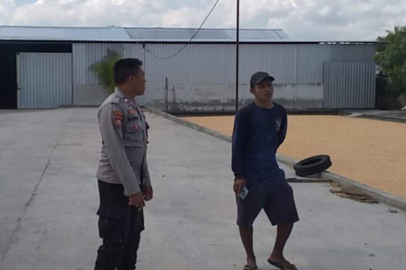 Gudang Jagung CV Galatia Disorot Polisi, Dukungan ke Bulog Jadi Harapan Bersama