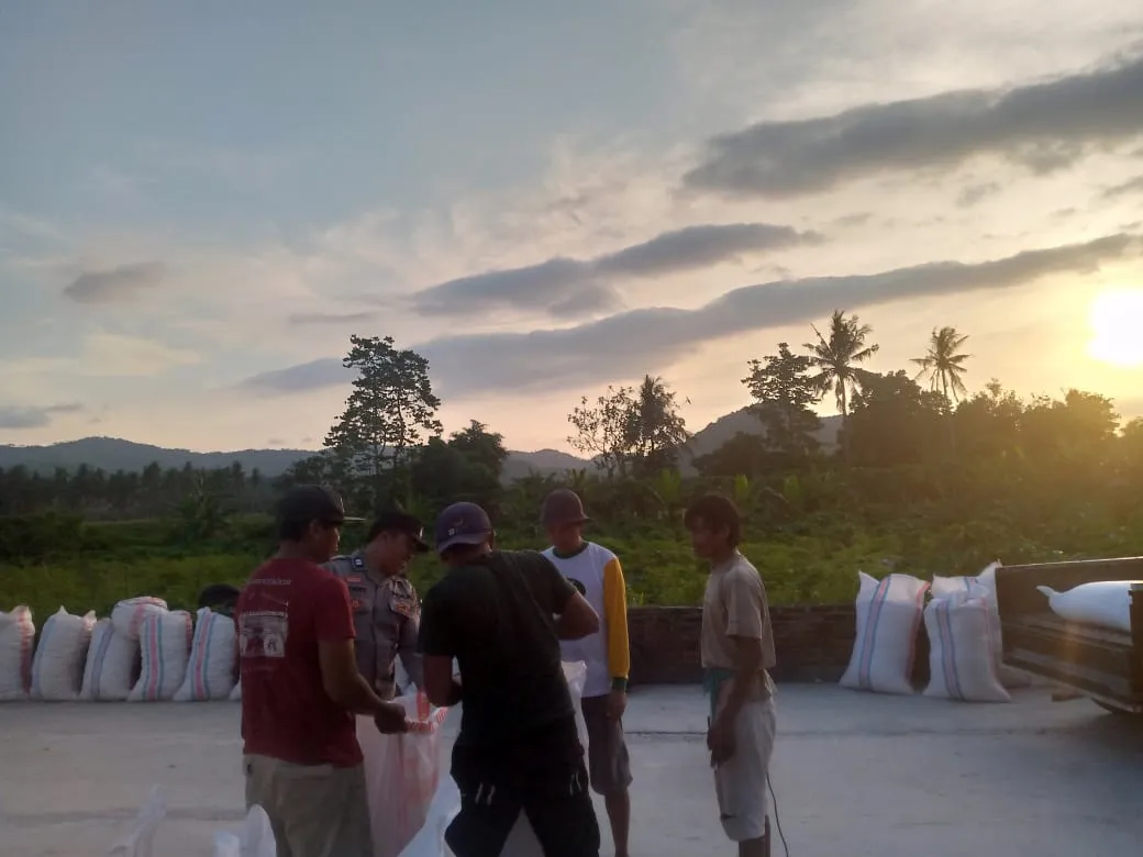 Polsek Kuripan Dorong Ketahanan Pangan Melalui Pendampingan Petani Jagung di Gerung