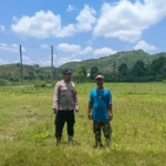 Bhabinkamtibmas Jadi Motor Ketahanan Pangan di Sekotong Barat