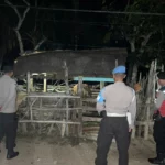 Polsek Sekotong Gencar Patroli Dini Hari, Fokus Amankan Ternak Warga