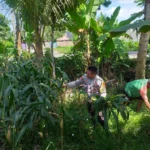 Sinergi Polri dan Petani di Lombok Barat Perkuat Kemandirian Pangan