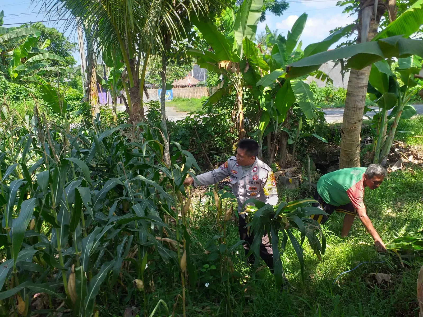 Sinergi Polri dan Petani di Lombok Barat Perkuat Kemandirian Pangan