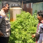 Optimalkan Lahan Kosong, Warga Senggigi Diedukasi Diversifikasi Pangan