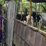 Bhabinkamtibmas Senggigi Ajak Warga Kelola Lahan Kosong Jadi Sumber Pangan