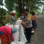 WhatsApp Image 2025-10-27 at 13.05.10 Sinergi Petani dan Polri di Lombok Barat Hasilkan Panen Jagung Melimpah