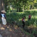 Patroli Ketahanan Pangan: Sinergi Polres Lobar dan Petani Jagung