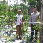 Sinergi Polri-Warga: Pekarangan Rumah Jadi Kunci Mandiri Pangan