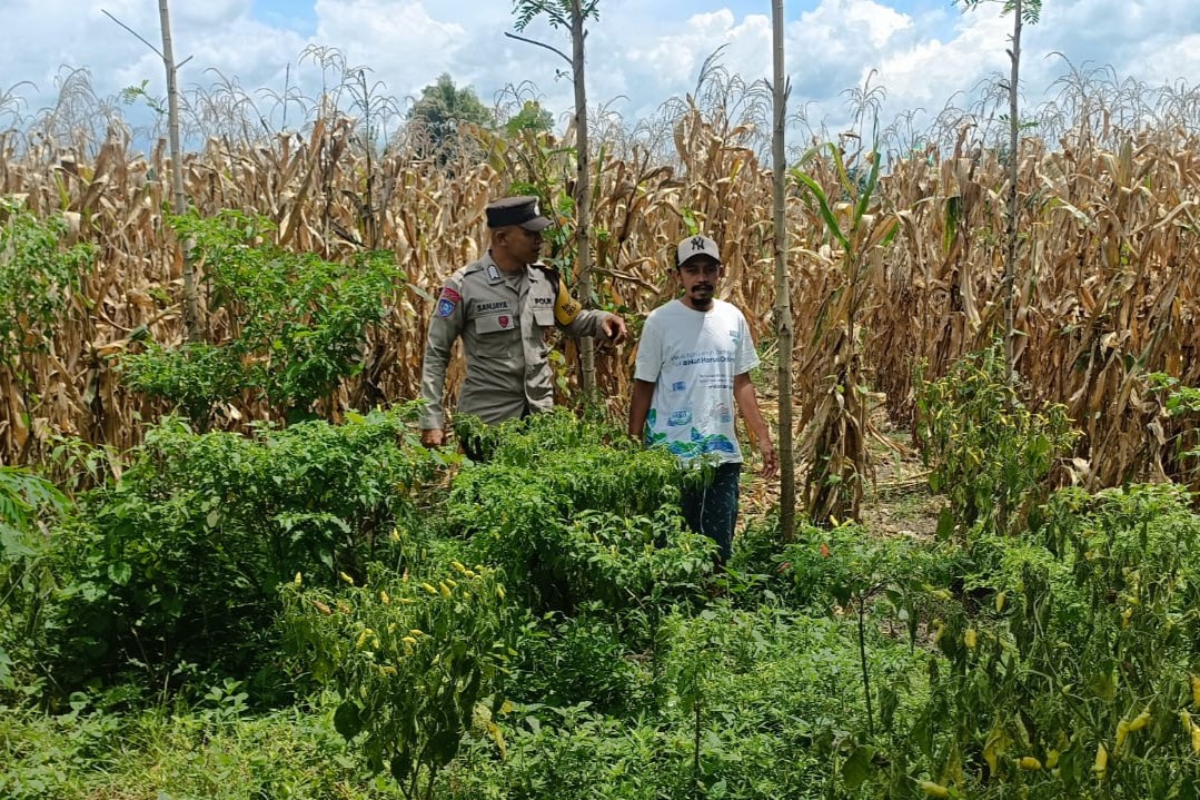 Langkah Praksis Polsek Gerung: Edukasi Pemanfaatan Lahan Kosong