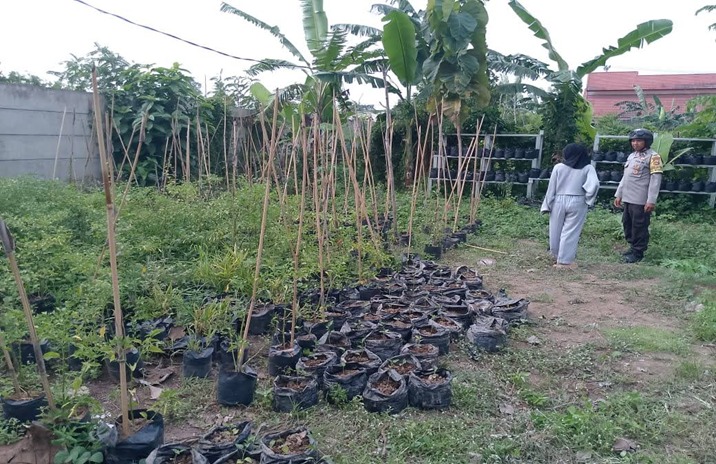 Bhabinkamtibmas Meninting Dorong Optimalisasi Lahan Pekarangan Rumah