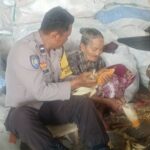 Polsek Gerung Kawal Panen Jagung Tiga Ton di Lombok Barat