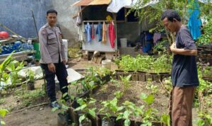 8d7112b1-1db0-4dff-ba80-62e228cc8d47 Polisi Dampingi Warga Perampuan Wujudkan Swasembada Pangan