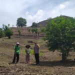 Kamtibmas Kondusif, Bhabinkamtibmas Dukung Program Tanam Jagung