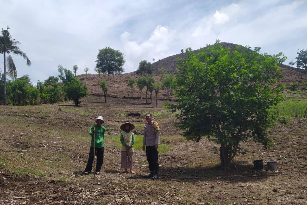 Kamtibmas Kondusif, Bhabinkamtibmas Dukung Program Tanam Jagung