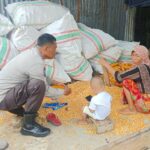 Bhabinkamtibmas Lombok Barat Dukung Distribusi Jagung ke Bulog