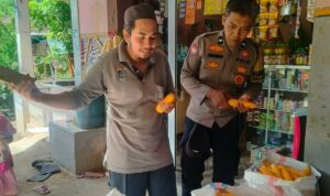 Peran Vital Bhabinkamtibmas: Dukungan Harga dan Serapan Panen Jagung