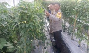 Kuatkan Ketahanan Pangan, P4S Lombok Barat Dorong Kompetensi Petani