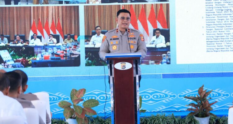 WhatsApp Image 2025-12-09 at 17.32.02