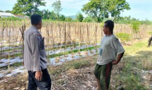 Dukung Program Pangan, Polres Lombok Barat Dorong Warga Bertani Mandiri