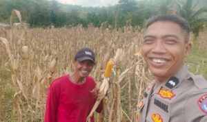 Polres Lombok Barat Aktif Dampingi Petani Tingkatkan Ketahanan Pangan