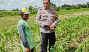 Polsek Labuapi Dukung Program Ketahanan Pangan