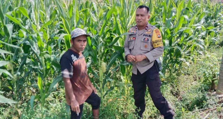 Polsek Labuapi Motivasi Petani di Desa Bagik Polak