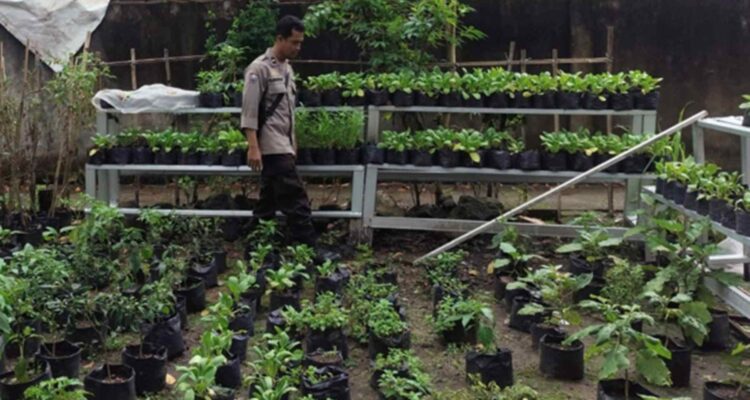 Polsek Labuapi Dorong Ketahanan Pangan di Desa Bengkel