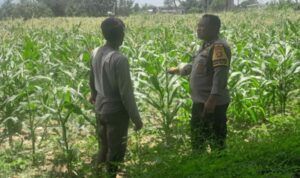 Polisi di Lombok Barat Motivasi Petani Optimalkan Lahan