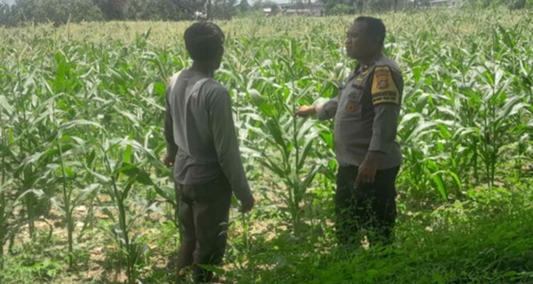Polisi di Lombok Barat Motivasi Petani Optimalkan Lahan